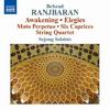 Ranjbaran - Awakening, Elegies, etc