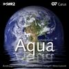 Gonzalo Grau - Aqua