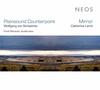 Schweinitz - Plainsound Counterpoint / Lamb - Mirror