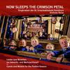 Now Sleeps the Crimson Petal: Carols and Motets for the Festive Season