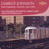 James P Johnson - Harlem Symphony, Concerto �Jazz A Mine�, etc