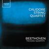 Beethoven - The Early String Quartets