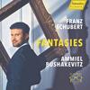 Schubert - Fantasies: Piano Sonata no.18, Wanderer Fantasy