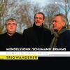Mendelssohn, Schumann & Brahms - Complete Piano Trios