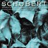 Schubert - Piano Sonata no.20, Moments musicaux