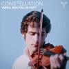 Virgil Boutellis-Taft: Constellation