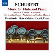 Schubert - Music for Flute and Piano