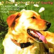 A Day in the Life of Lucky: Classical Music for You and Your Dog