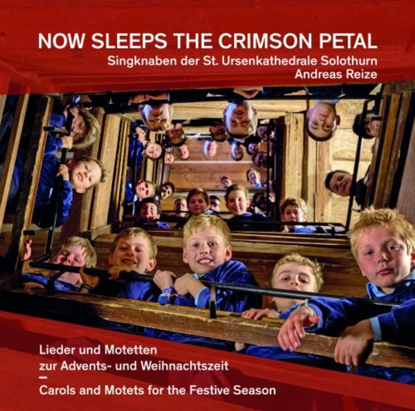 Now Sleeps the Crimson Petal: Carols and Motets for the Festive Season