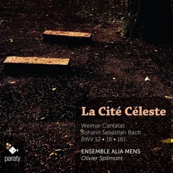 La Cite Celeste: JS Bach - Weimar Cantatas
