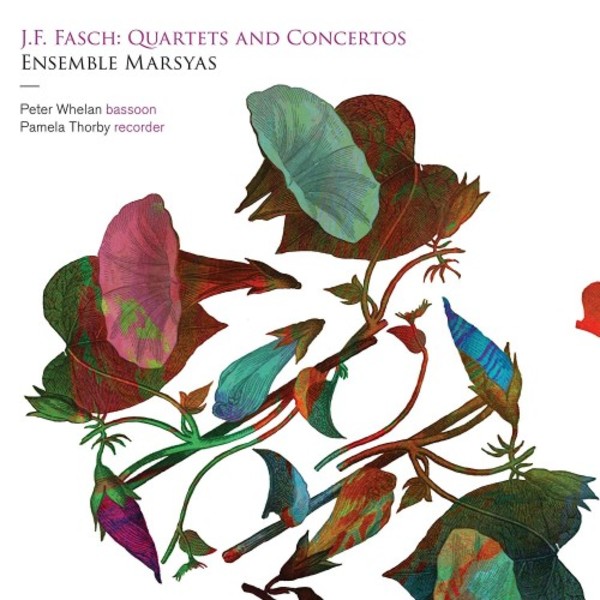 JF Fasch - Quartets and Concertos