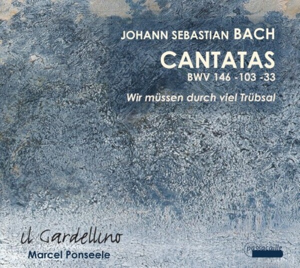 JS Bach - Wir mussen durch viel Trubsal: Cantatas BWV146, 103 & 33