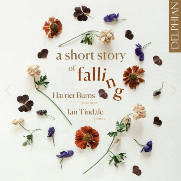 A Short Story of Falling