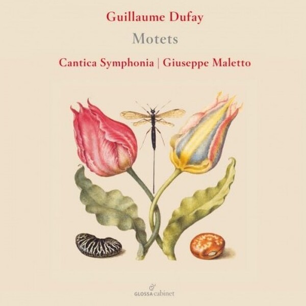 Dufay - Motets
